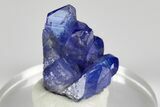 Blue-Violet Tanzanite Crystal Cluster - Merelani Hills, Tanzania #178337-2